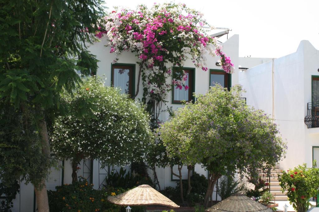 Bronze Hotel Gümbet Esterno foto