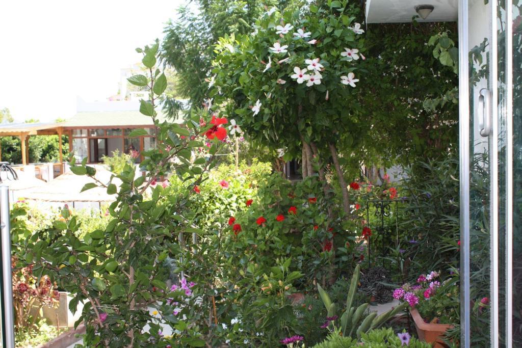 Bronze Hotel Gümbet Esterno foto